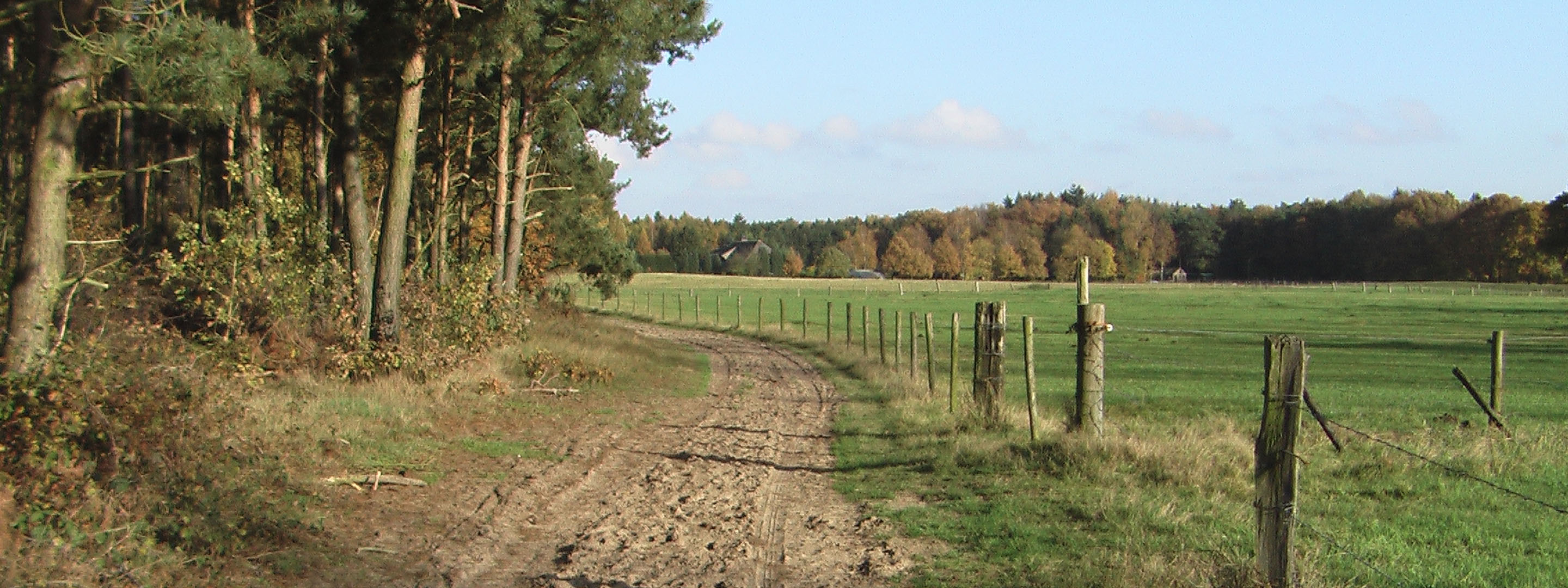 Zandpad bij Stokkum, Frans Bosch